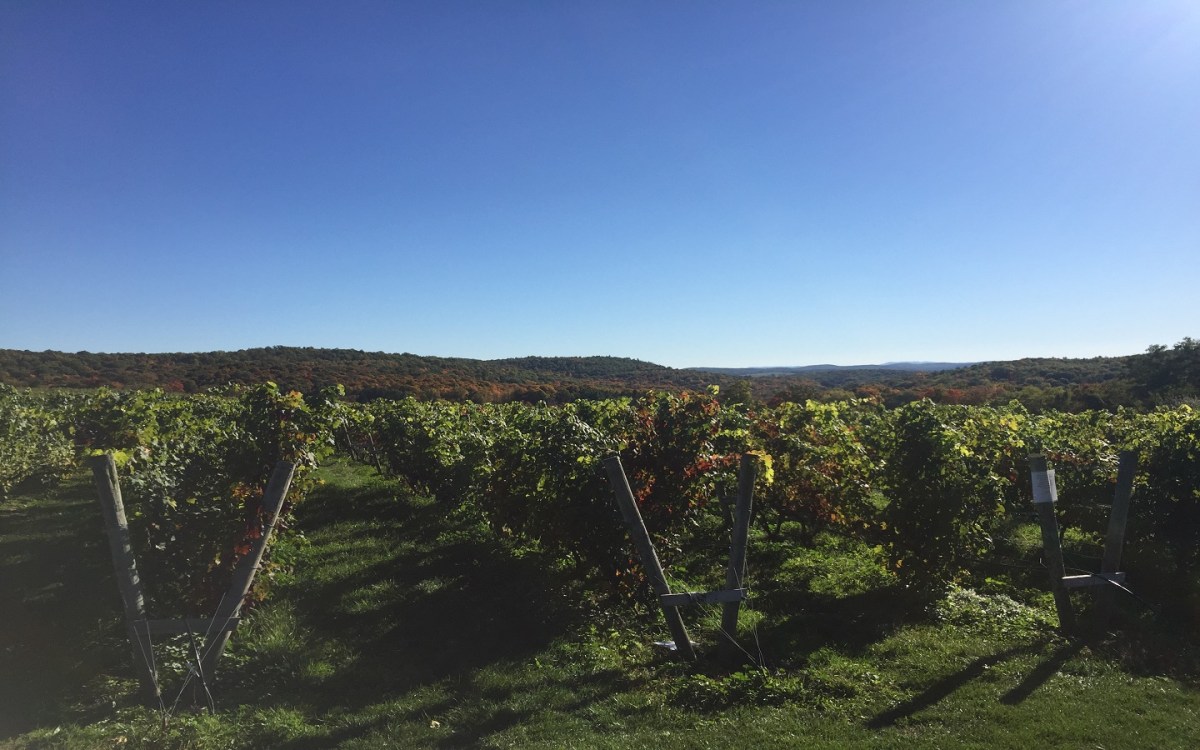 Millbrook Vineyards and&nbsp;Winery